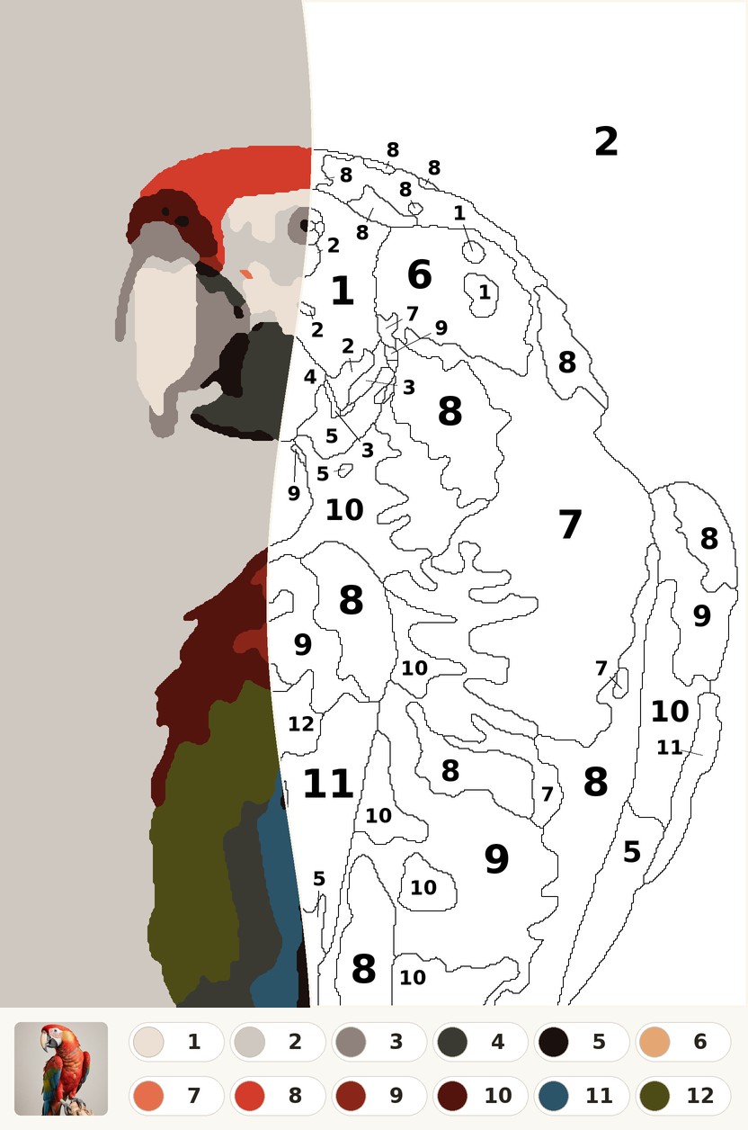 Zdjęcie papugi zamienione w obrazek do malowania po numerach: lewa połowa pokolorowana, prawa to szablon z numerami pól; pod spodem zdjęcie źródłowe i paleta dwunastu numerowanych kolorów